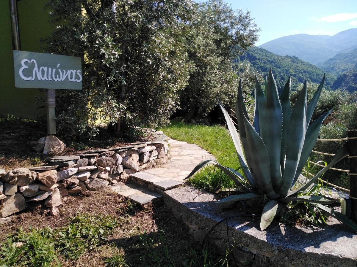 Ελαιώνας - Solar Energy House Villa Chorefton Exterior foto