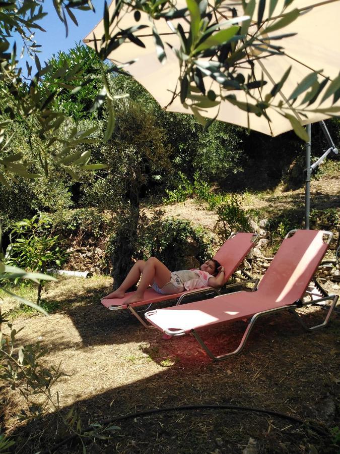 Ελαιώνας - Solar Energy House Villa Chorefton Exterior foto